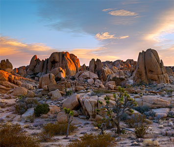 Joshua Tree National Park