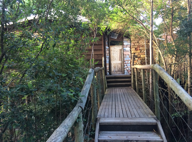 Tsala Treetop-lodge Bridges connect the whole property...treetop living at its finest. 