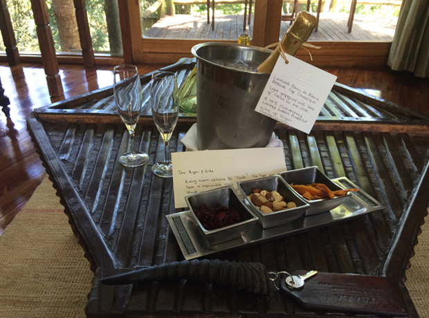 Tsala Treetop-lodge The key to my heart = sparkling wine, snacks and handwritten notes.
