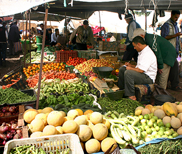 Visit the local Berber Monday market at nearby Tnine Ourika.