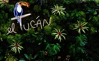 One of our favorite hotel designers, Rob McKinley, (think Surf Lodge, Ruschmeyer’s and the soon to be Haddon Hall) has done it again - check out the recently opened cabaret lounge, El Tucán. 
