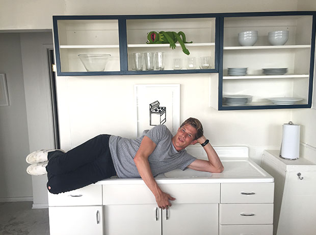 The Rose Tommy lounging in the kitchen (with Kermit).  
