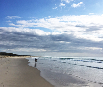 Take bikes from Halcyon House and ride north along the paved bike path along the beach