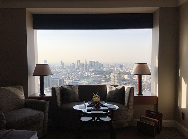 Ritz Carlton, Tokyo Room + view. Spend hours examining the cityscape and architecture from the comfort of your hotel.