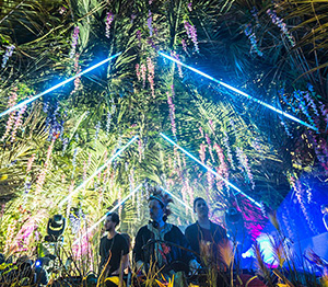 The genius of destination festivals