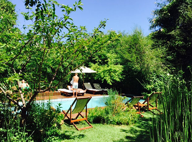 Home Hotel The pool! Small but lovely and surrounded by lush greens.