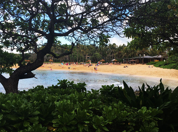 Turtle Bay Resort View of the beach + beach bar. Calmer waters make it a great snorkeling and SUP spot. 