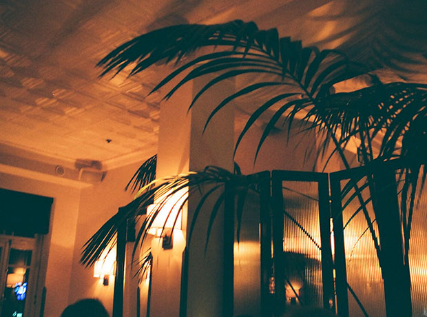 Hotel Montefiore Remember to look up towards the spaces between the palms.
