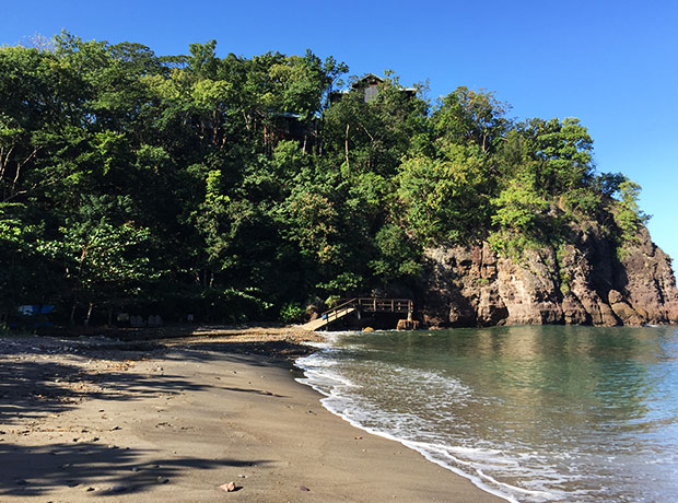 Secret Bay View from the beach of the Secret Bay property – can you spot the villas among the trees?