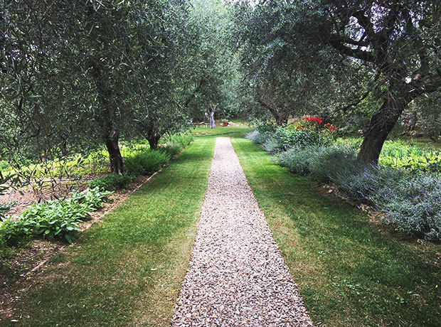 Castello di Vicarello It's a garden to table kind of place - most of what's served at the hotel comes from these gardens. 