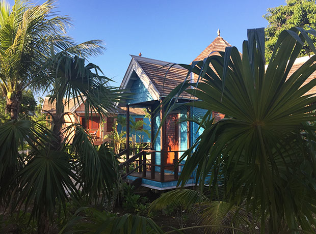 Goldeneye Beach Huts Through the undergrowth, Goldeneye’s gorgeous new Beach Huts.