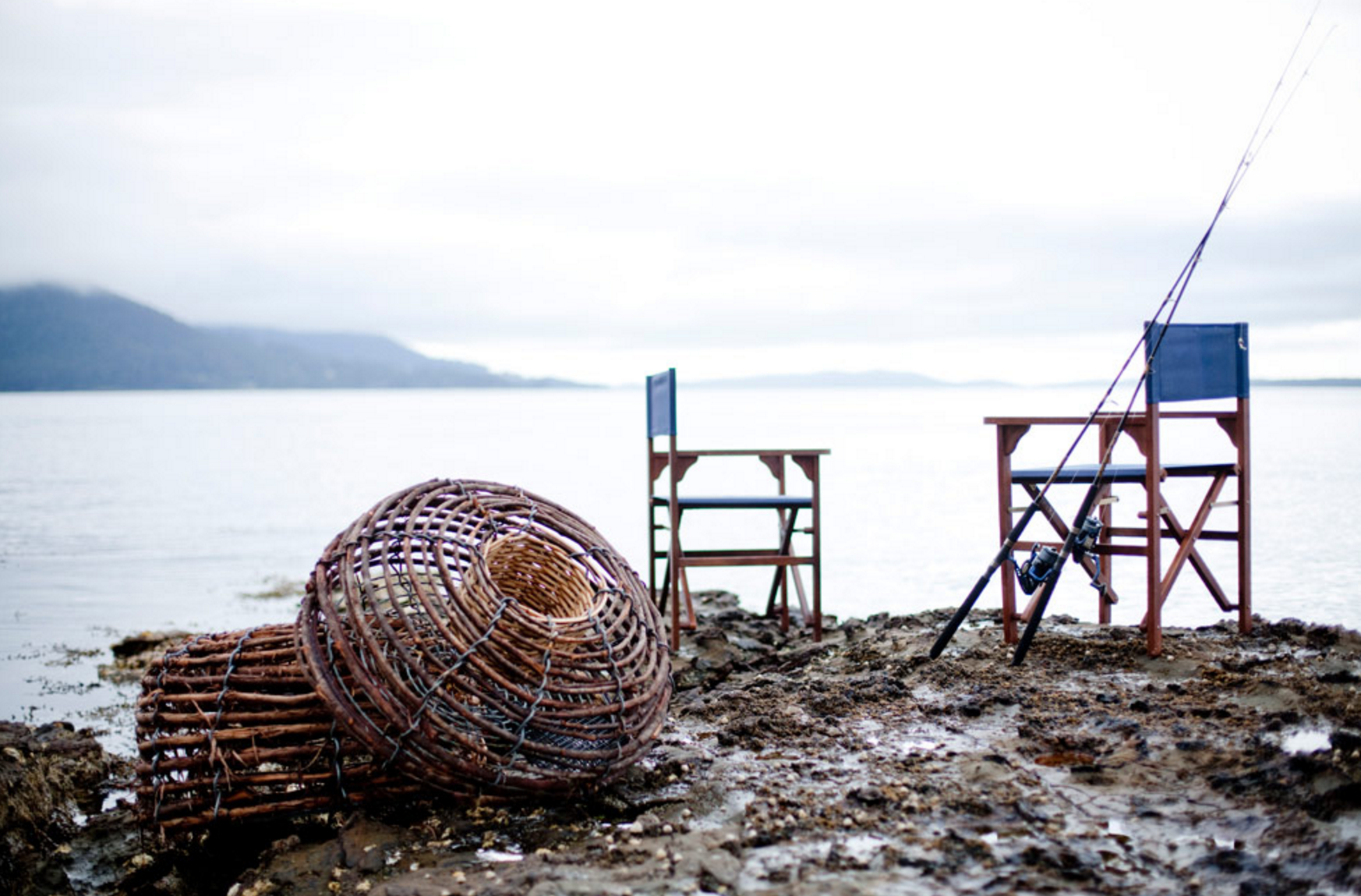 Pull oysters off the rocks, dive for lobsters, abalone or sea urchin.