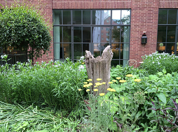 Crosby Street Hotel Our secret garden. Apparently this is where all the green space in NYC is…