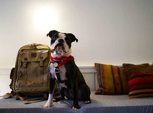 Scribner’s Catskill Lodge Zelda Rojas enjoying her new weekend home.