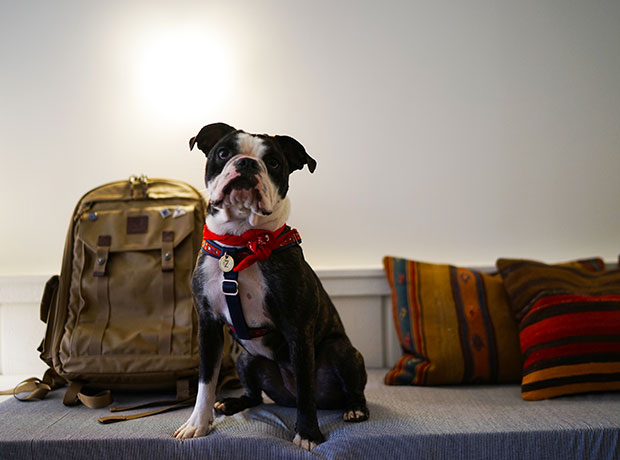 Scribner’s Catskill Lodge Zelda Rojas enjoying her new weekend home.