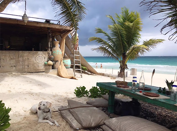 Nômade Tulum Kid-friendly and dog-friendly.