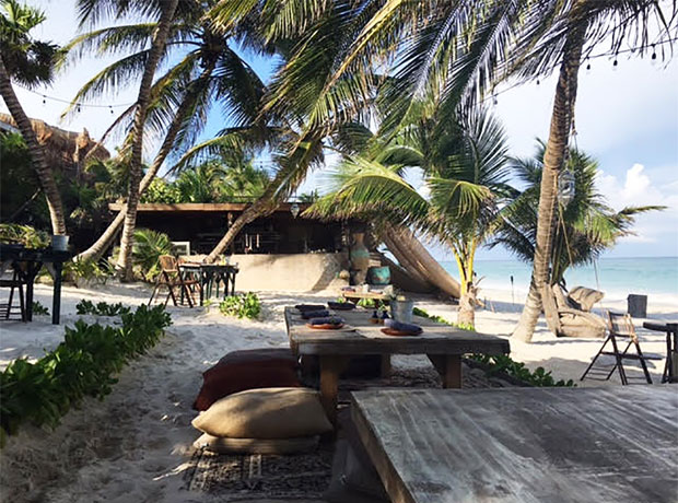 Nômade Tulum The lunch view at La Popular. I ordered the fish tacos every day.