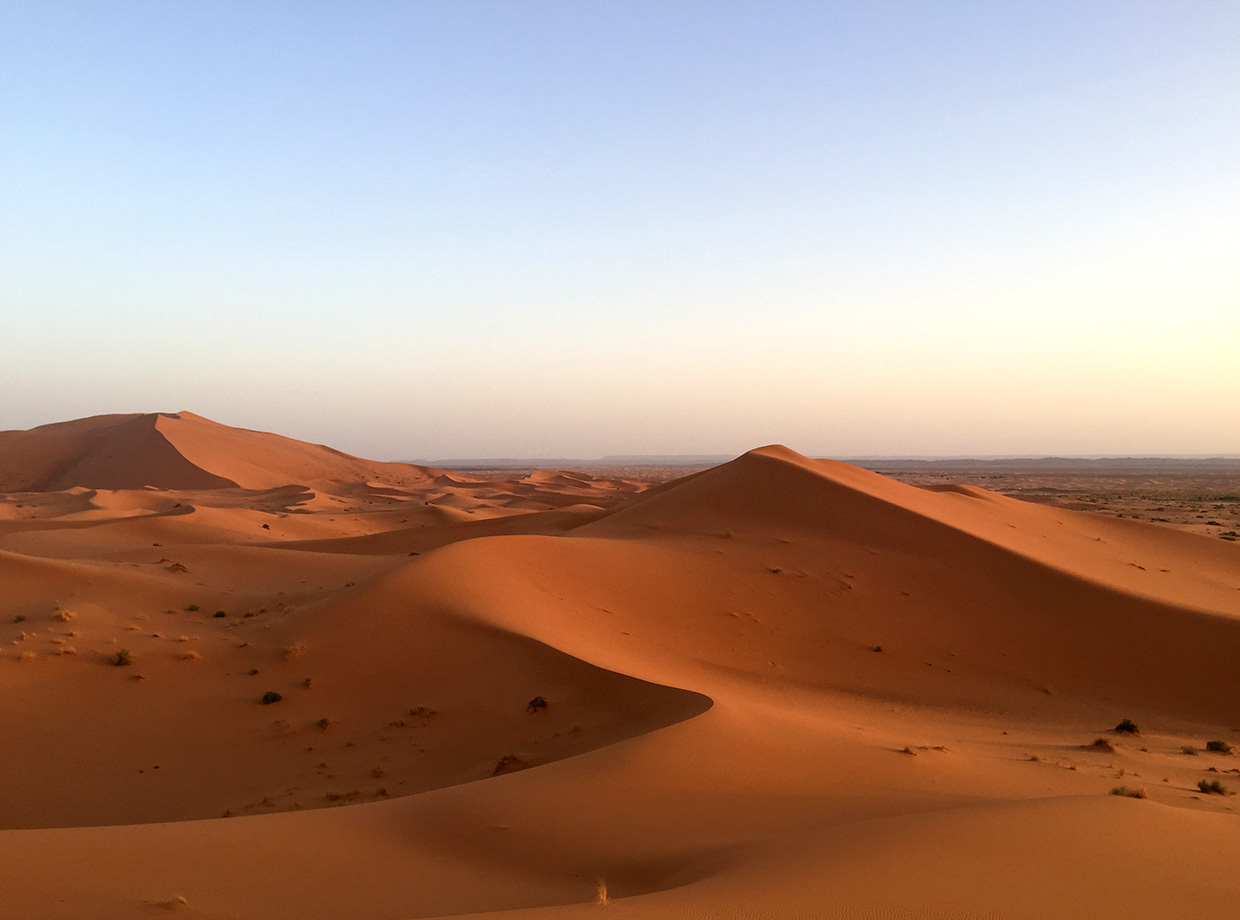 Kam Kam Dunes Neighborhood? Sahara!