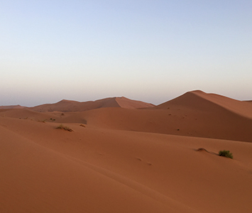 On the top of a dune…mind blowing!