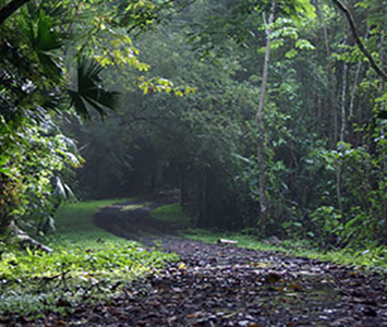 Parque Metropolitano