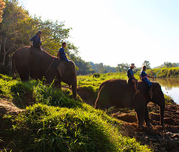 Bond with an elephant.