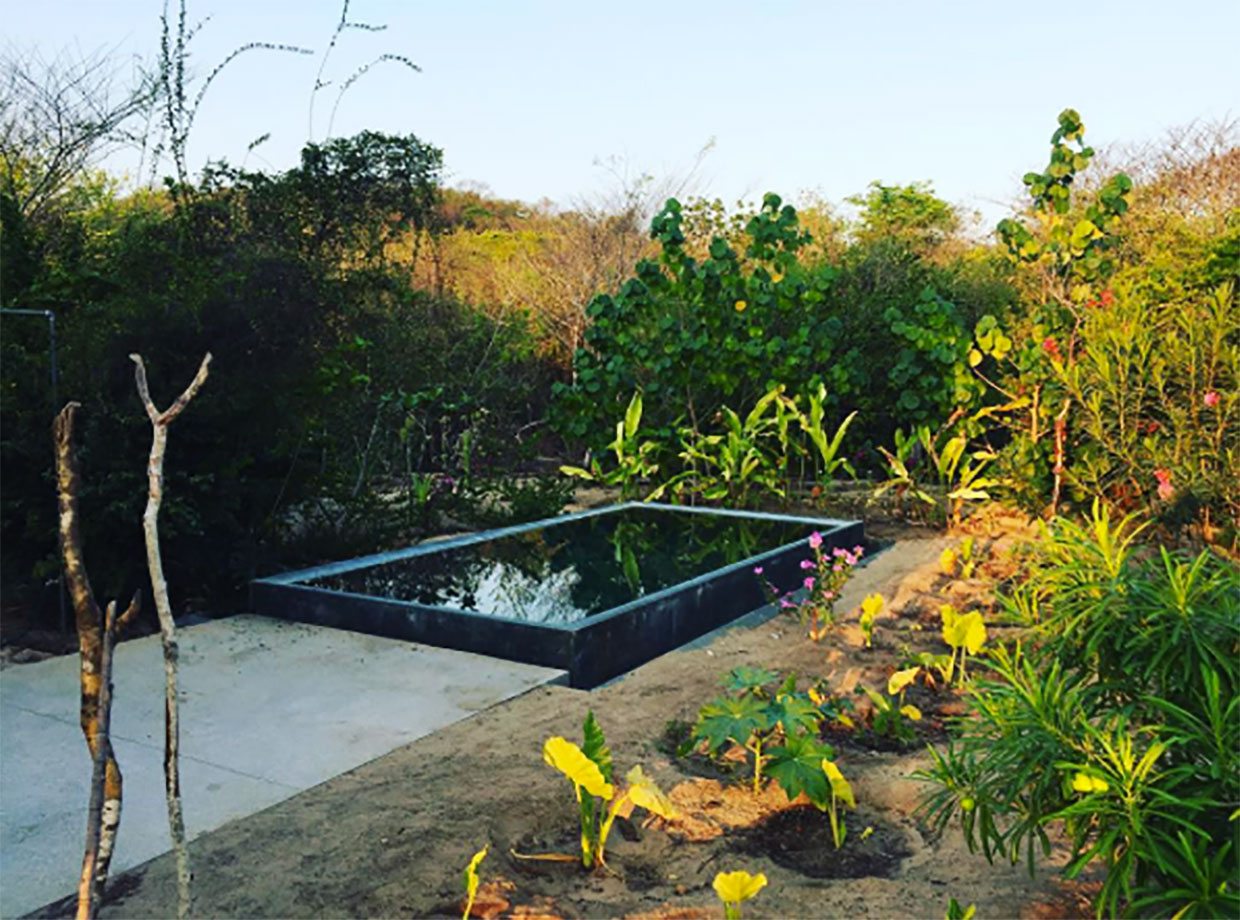 Casa Tiny Private plunge pool, sunset and mezcal. 