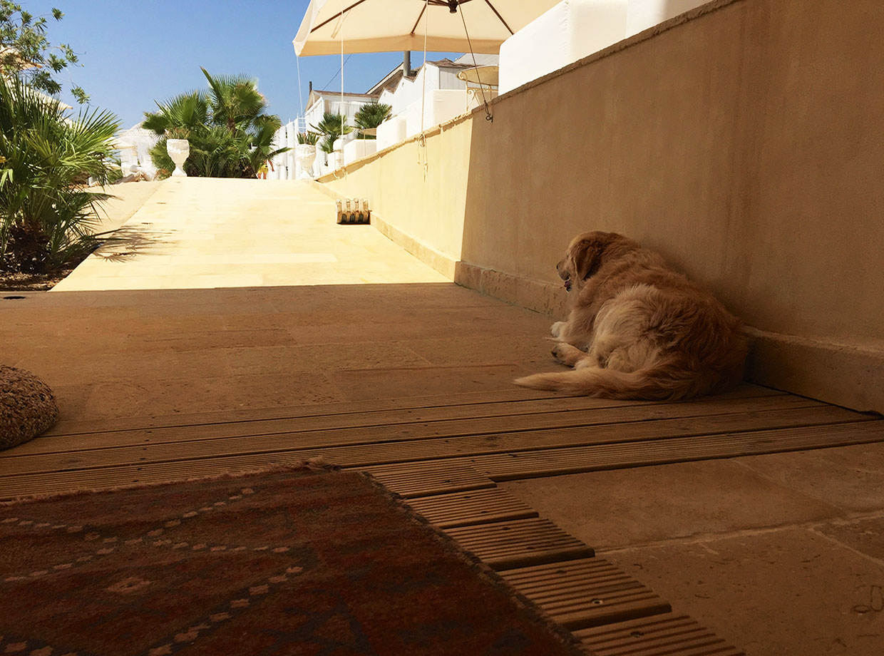 Musciara Siracusa Resort Even pups love chilling at the hotel’s private beach.