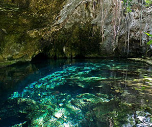 You need to go (if possible) everyday to the natural spring water river and salt water lagoon, located in the tip of the bay. Ask for a pass at reception.