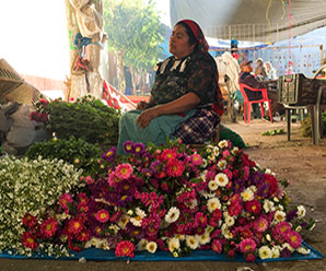 Mercado Tlacolula de Matamoros