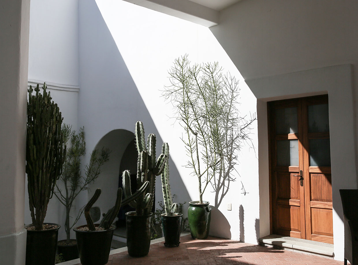 Casa Oaxaca Casa Oaxaca’s courtyard is a serene sanctuary.