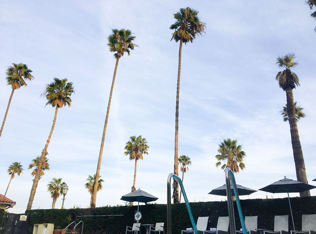 Hotel Milo Santa Barbara Plus, of course, the towering palm trees that flanked them.