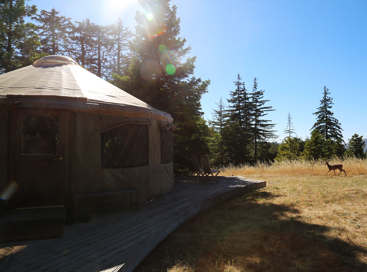 Post Ranch Inn The on-property yurt: find yoga, meditation classes…and deer. 