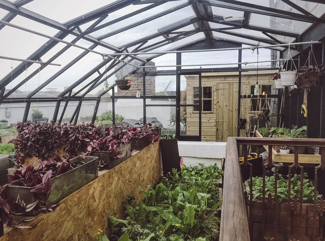 The Culpeper The rooftop greenhouse where the kitchen grows their own herbs and vegetables. 