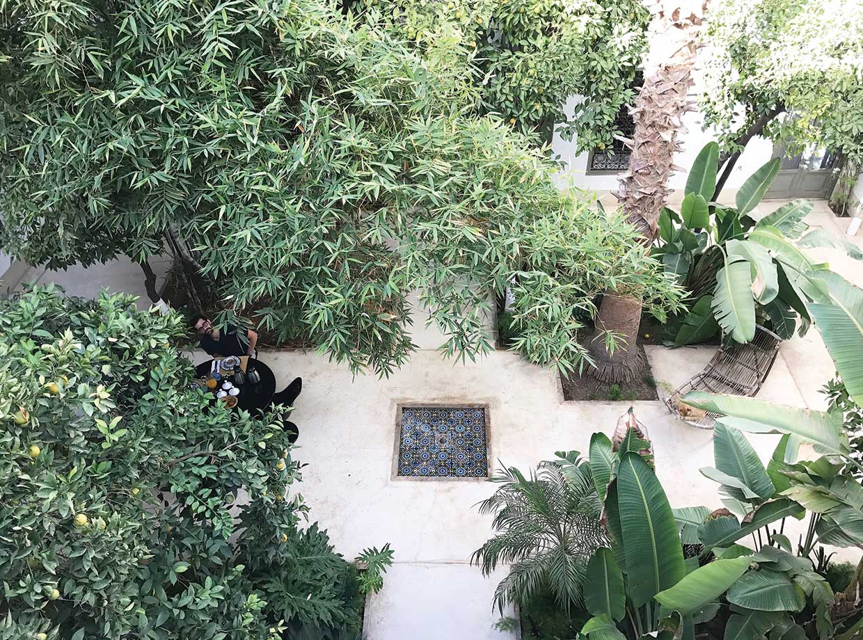 Riad Mena and Beyond The tree-filled main courtyard was our preferred spot for breakfast.