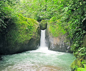 Hike to El Pavón waterfall and the Tilapia Farm Restaurant