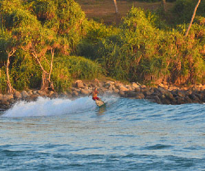 Have a surf lesson