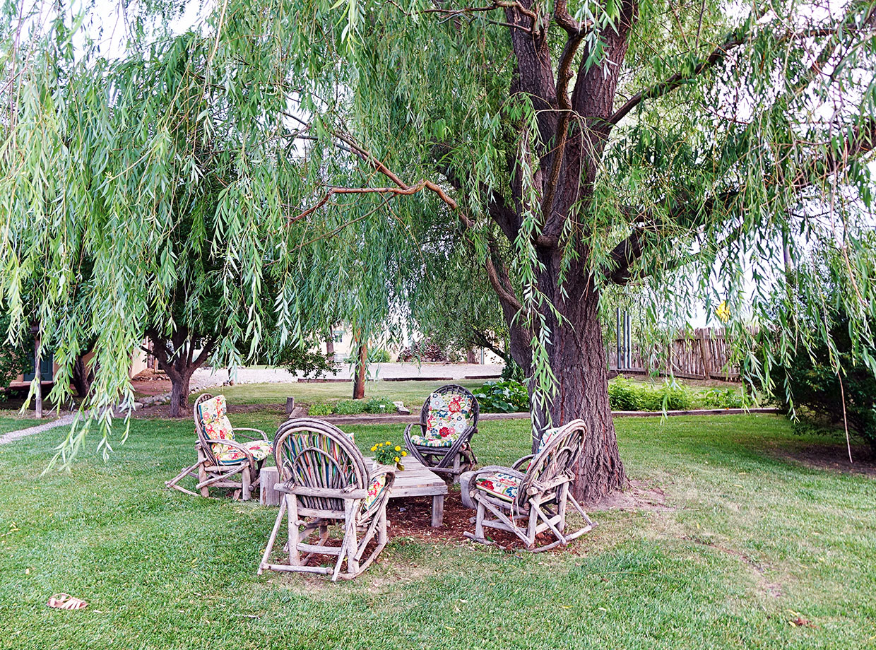 Casa Gallina Anyone for an afternoon tea under the willow tree? Anyone?