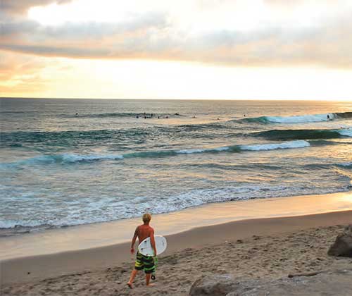 Even if you don’t surf, go watch.