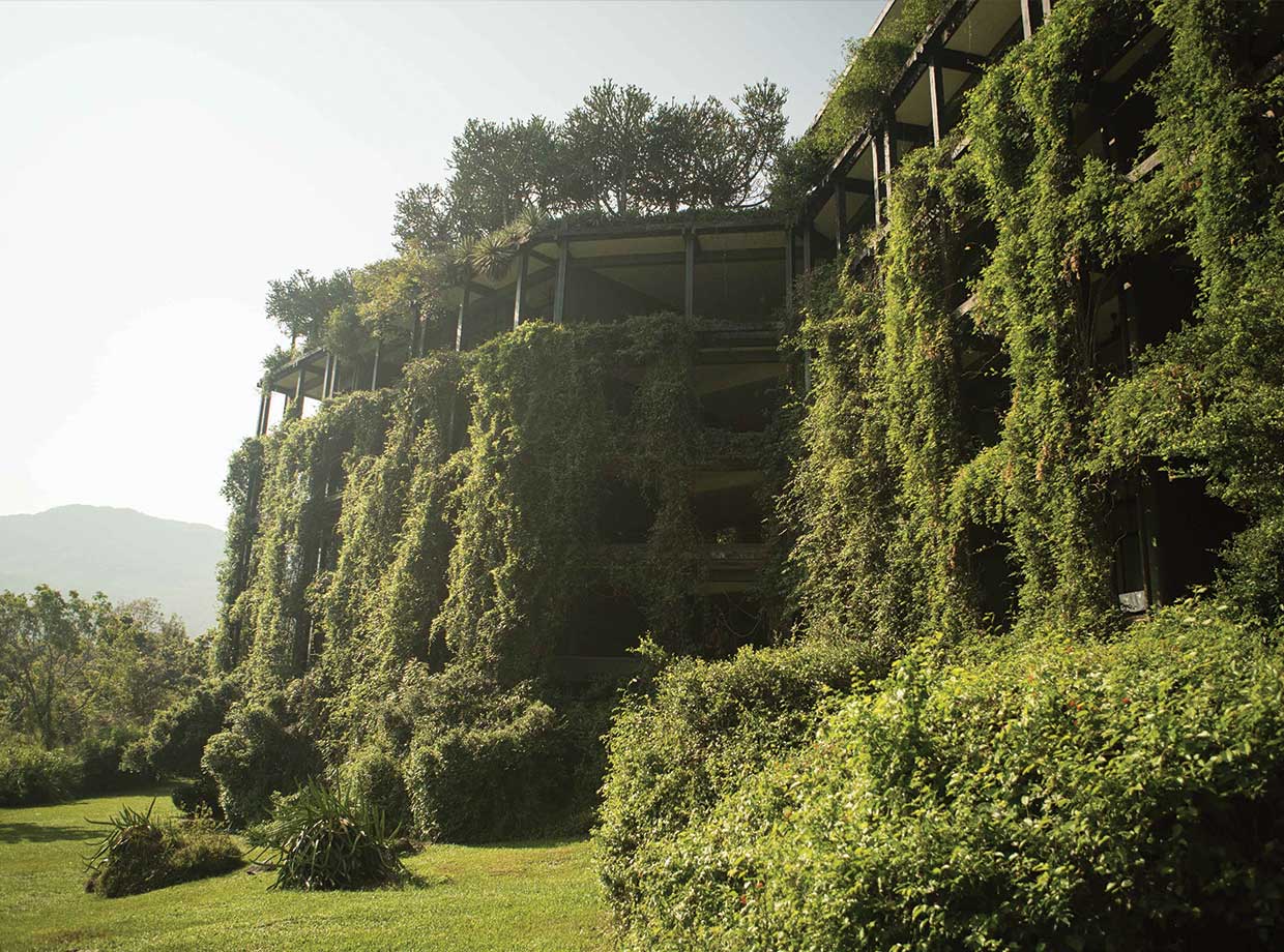 Heritance Kandalama Incredible jungly vine-covered hotel façade. 