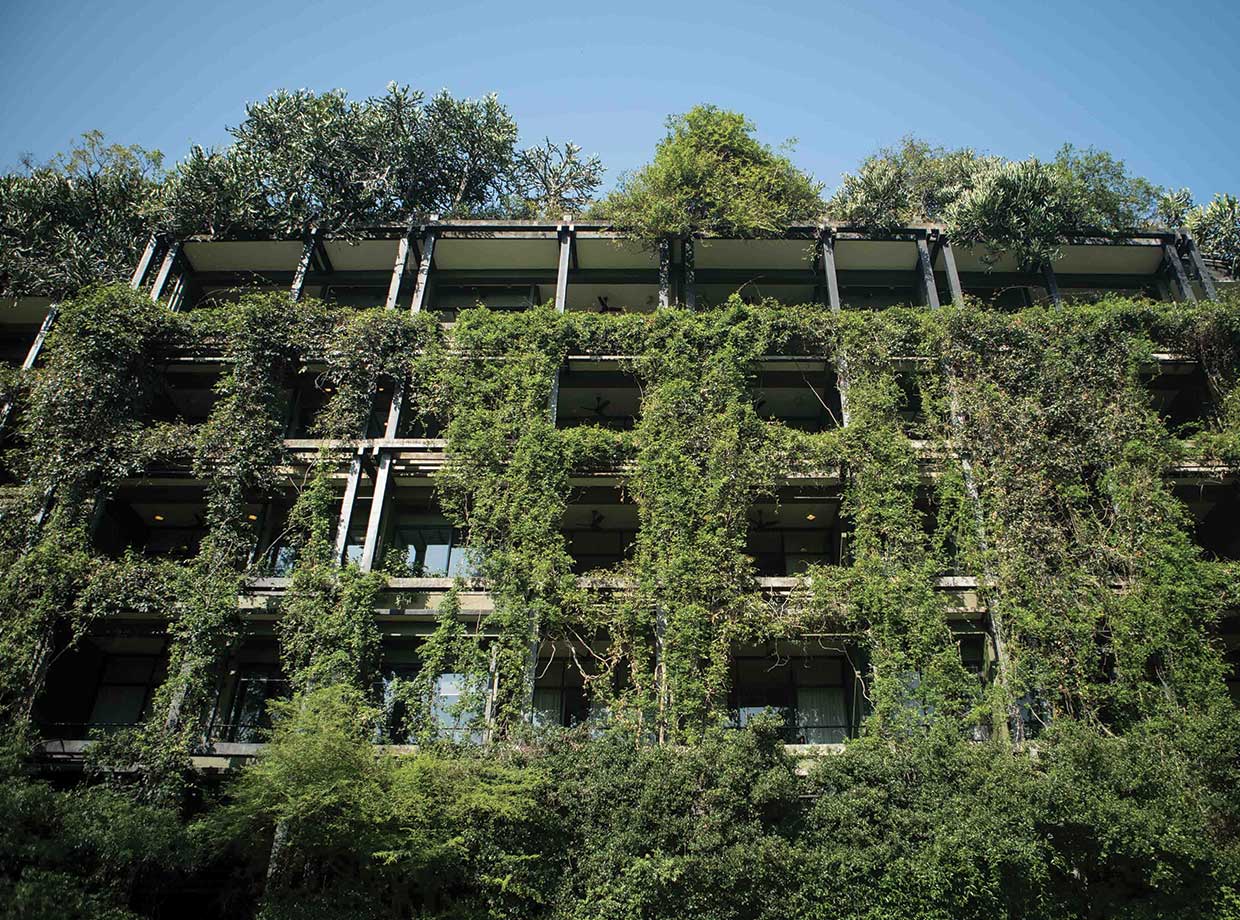 Heritance Kandalama The jungle-covered façade keeps rooms cool during heat of the day. Be careful of the monkeys that swing between the vines. 