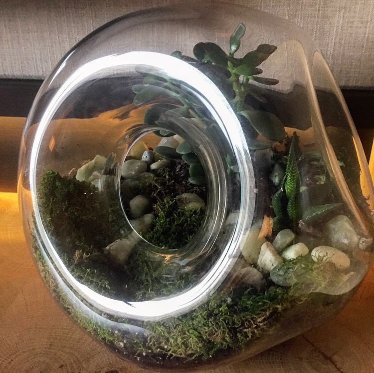 1 Hotel Central Park I'm all about terrariums.