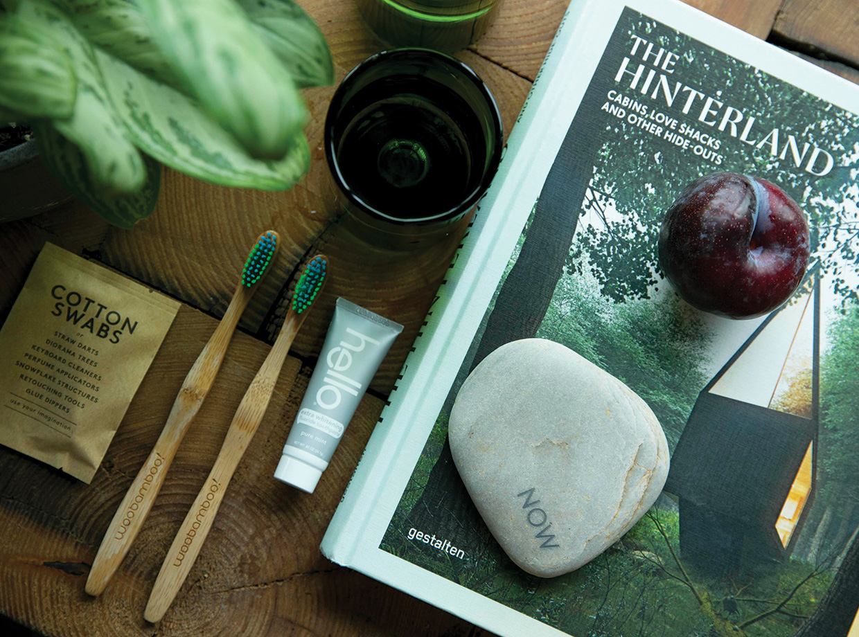 1 Hotel Brooklyn Bridge All the details are perfect: eco packaging for toiletries, bamboo natural toothbrushes, filtered water on tap, recycled handmade glasses, zen stones, plants and great book selections.