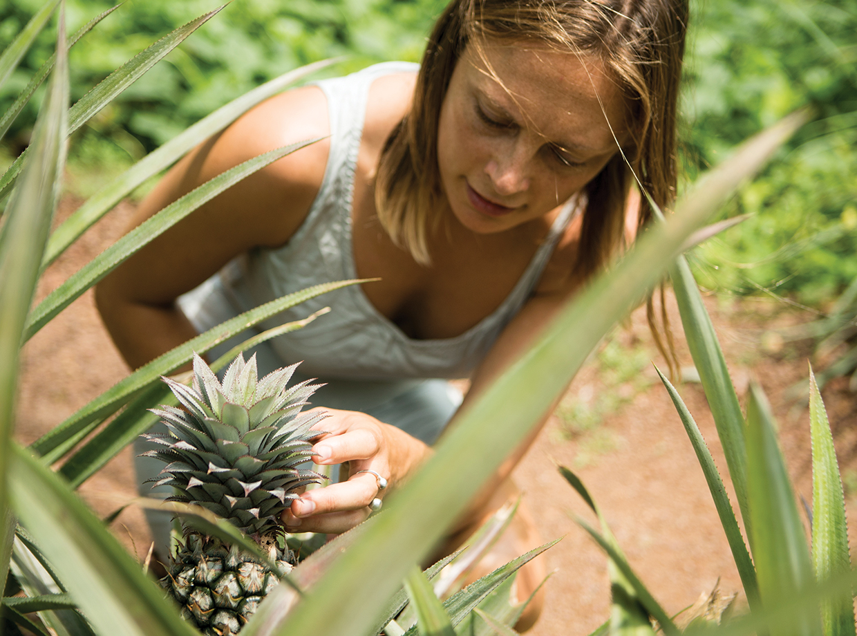 The Wallawwa Inspecting pineapples grown on the property and served every morning with breakfast. When they have surplus, the hotel gives them to staff or sells them for jam. 