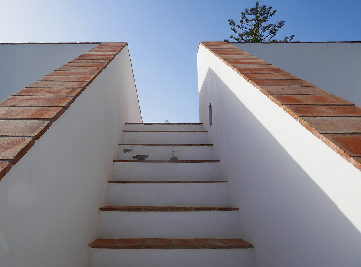 Casa Modesta Looking up.