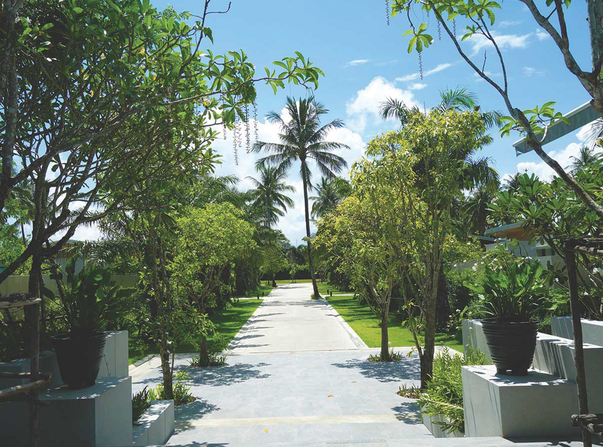 Aleenta Tree-lined villa entrance.
