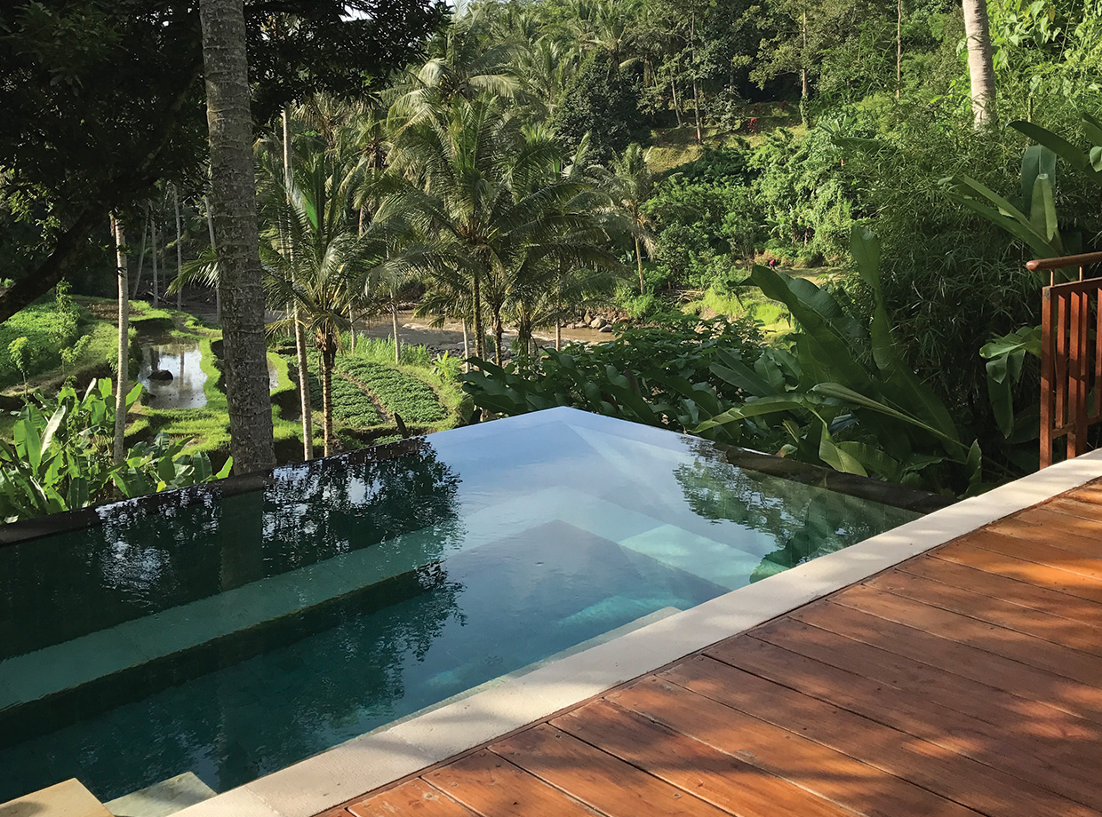 Four Seasons Resort Bali at Sayan Our infinity pool.