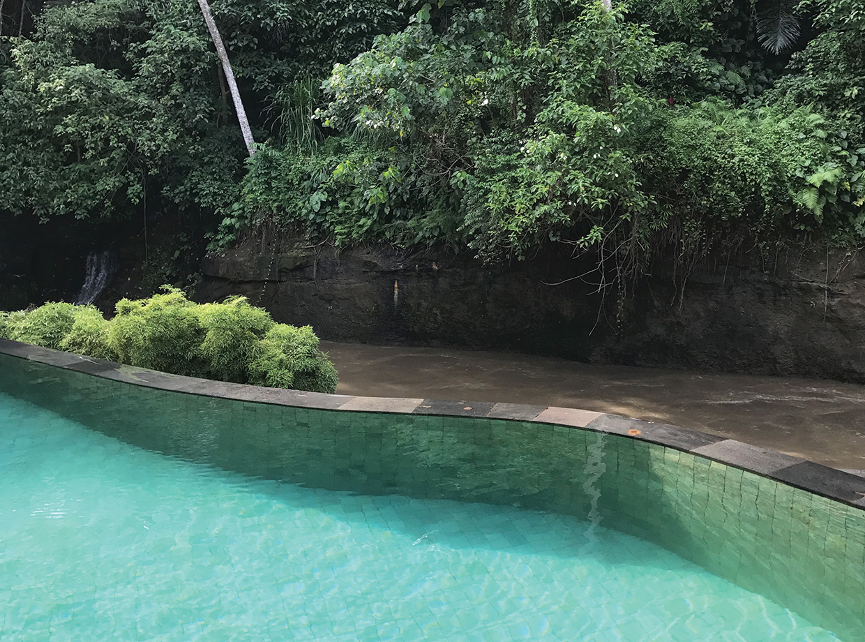 Four Seasons Resort Bali at Sayan The infinity pool at the restaurant that overlooks the Ayung river.