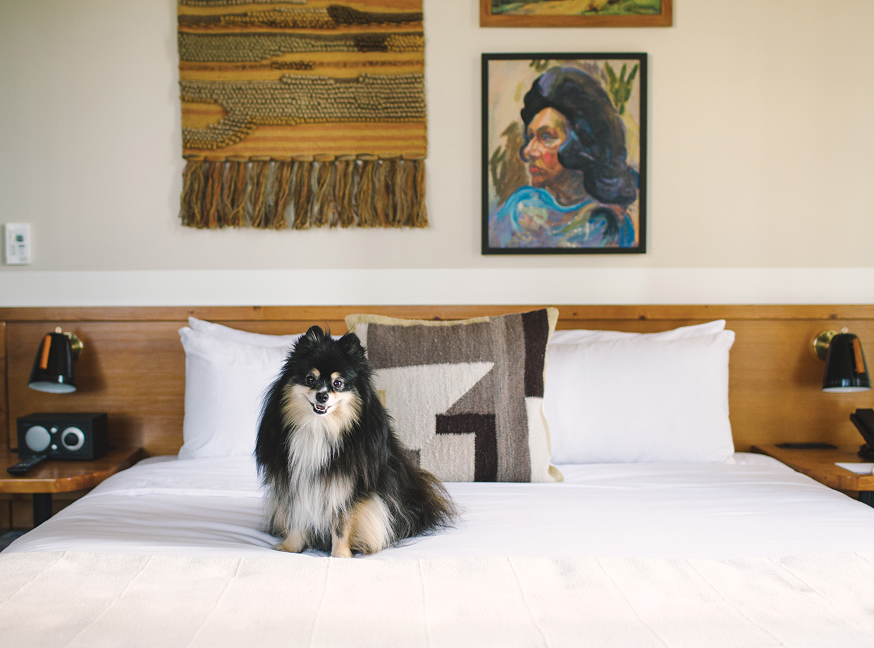 Freehand LA How can you not love a hotel that allows you to adventure with your favorite travel companion? Brooklyn the Pomeranian was very impressed with her temporary digs.
