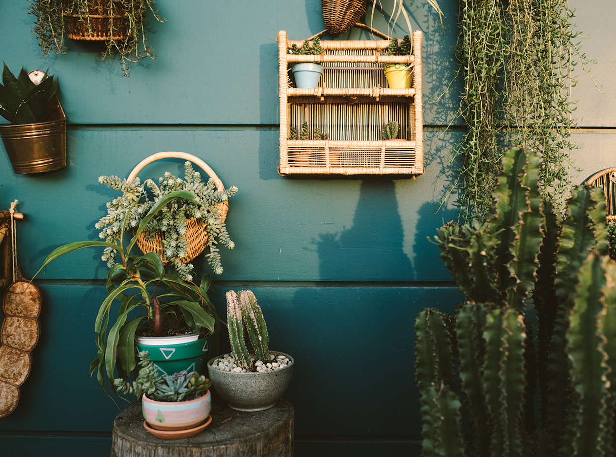 Freehand LA The perfect mix of décor from desert plant babies to vintage art and vessels.