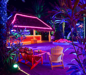 Highlights from Art Basel Miami Beach 2017